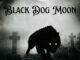 BLACK DOG MOON: “Black Dog Moon”