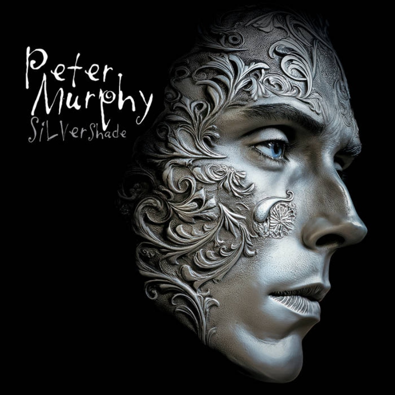PETER MURPHY-Silver Shade72