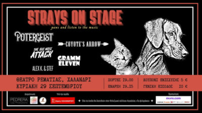 STRAYS ON STAGE: Συναυλία Ενίσχυσης Φιλοζωικού Συλλόγου Αιγιαλείας