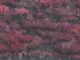 SLEEP TOKEN: “Even In Arcadia”
